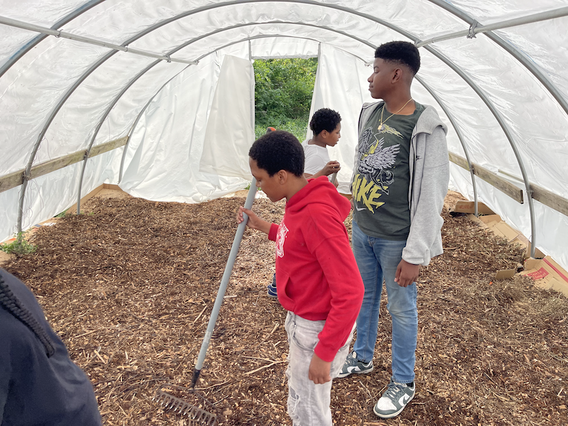 Our Spring Garden Journey